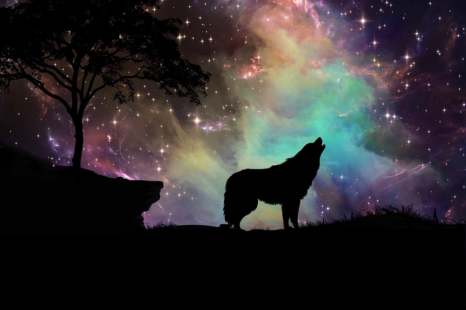 Howling wolf at night with galaxy